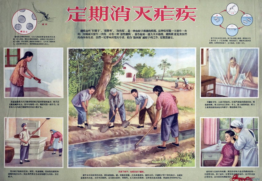Chiński plakat z lat 40. propagujący walkę z malarią 