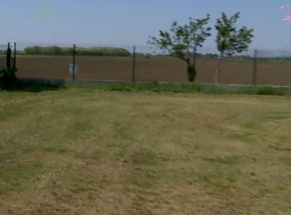 Nenad Čanak, salaš