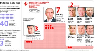 Posłowie piraci pod ochroną Sejmu