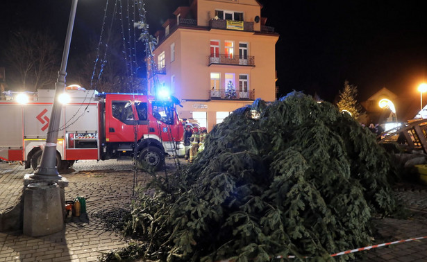 Halny szaleje w Tatrach. Przewrócił olbrzymią choinkę na Krupówkach