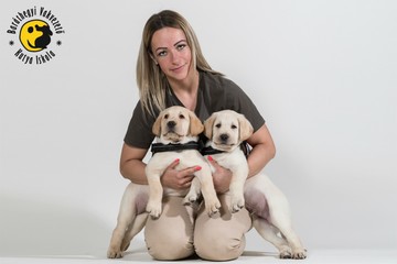 kiralyne_barkoczi_emese_kikepzo_