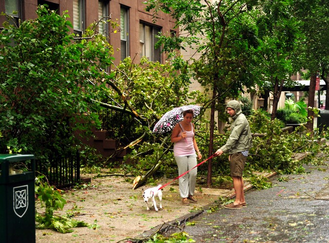 Powalone drzewa w Nowym Jorku