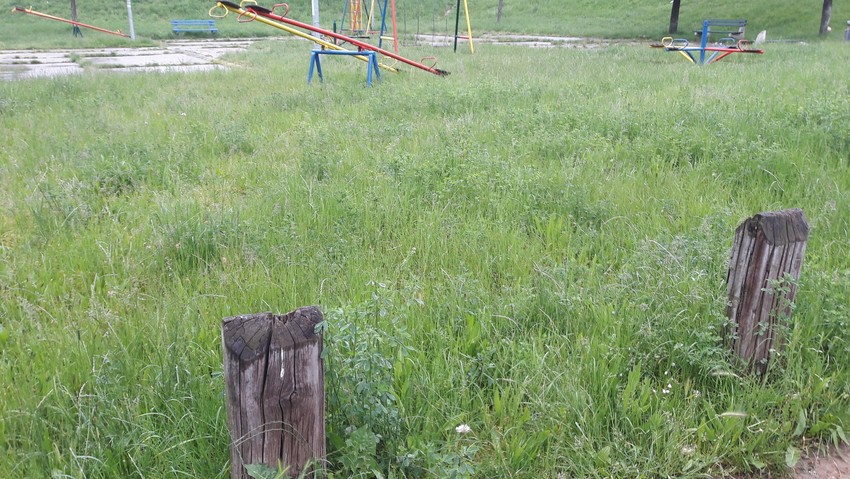 Nepokošena trava na igralištu