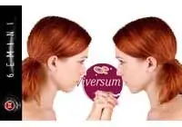 Viversum