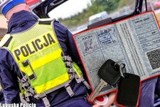 Masz to w aucie? Pożegnaj się z dowodem rejestracyjnym