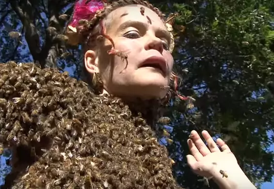 Ta kobieta "ubiera się" w żywe pszczoły, żeby pomedytować. Na jej ciele potrafi być ich 10 tysięcy