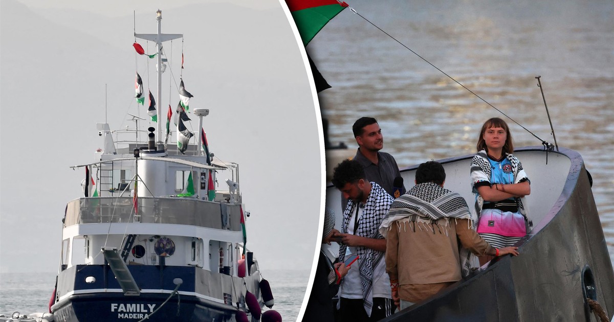 Greta Thunberg o warunkach w izraelskim więzieniu. "Cela pełna pluskiew"