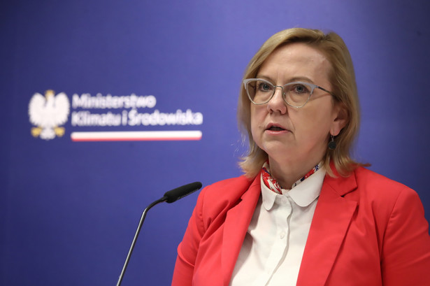 Anna Moskwa, minister klimatu i środowiska