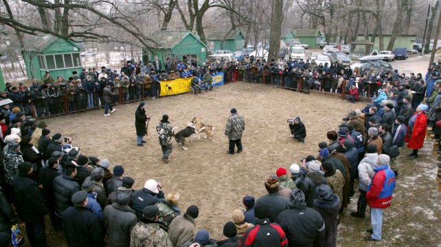 zPazurem.pl