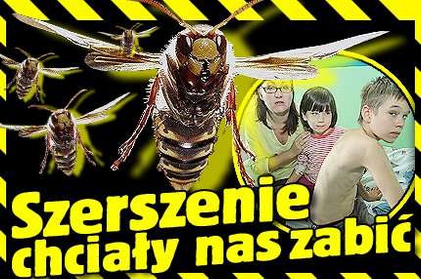 Szerszenie chciały nas zabić