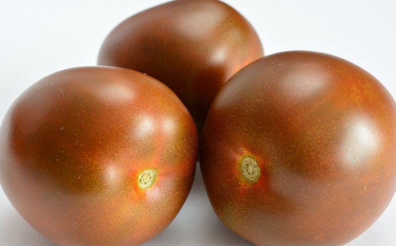Pomidor odmiana Brown Sugar