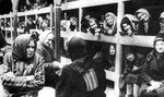 Dyrektor FBI oskarża Polaków o Holokaust