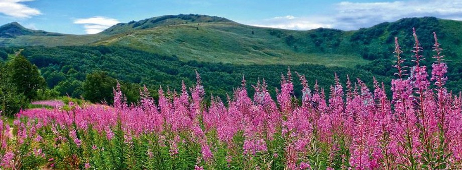 Bieszczady