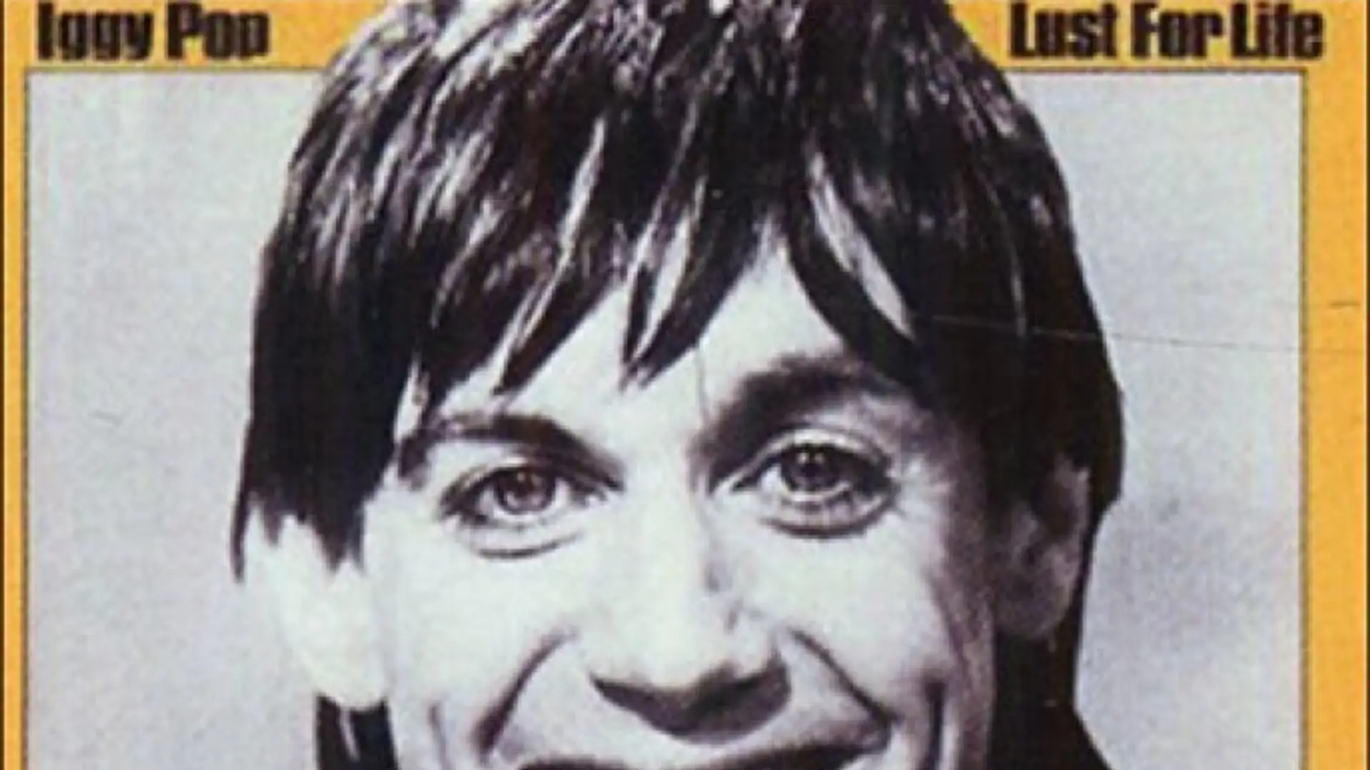 Iggy Pop - Albumy fanów