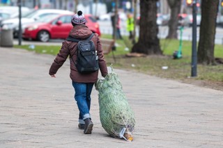 Do kiedy można trzymać choinkę w domu i śpiewać kolędy? W Polsce mamy dokładną datę