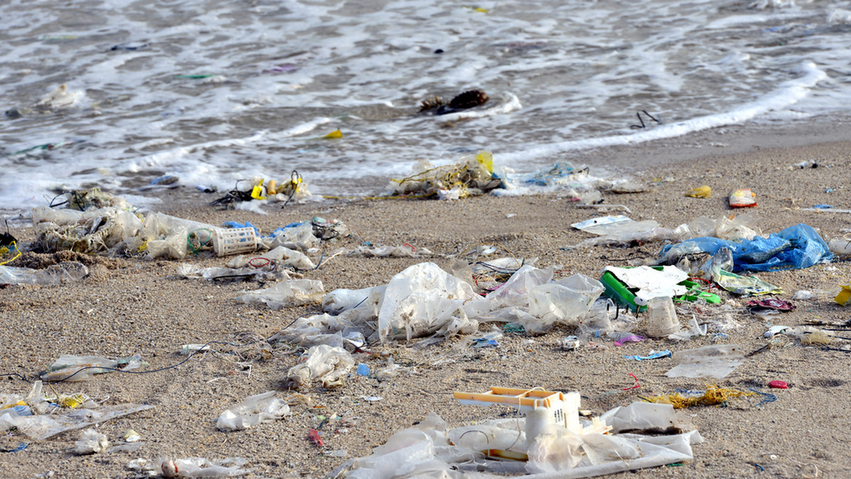 Tworzywa sztuczne wyrządzają ogromne szkody w ekosystemie na całym świecie. Rządy i korporacje zaczynają ograniczać produkcję plastiku, zgodnie z globalnymi celami ONZ. Zmiany postępują jednak powoli, o czym masowo przekonują się m.in. morskie stworzenia - czytamy na portalu The Global Citizen.