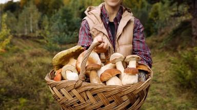 Lubisz grzyby? Sprawdź, które są najzdrowsze. Niektóre z nich są napakowane witaminami