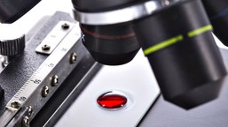 nowe technologie obrazowania bez soczewek: nowy czujnik obrazu przełam