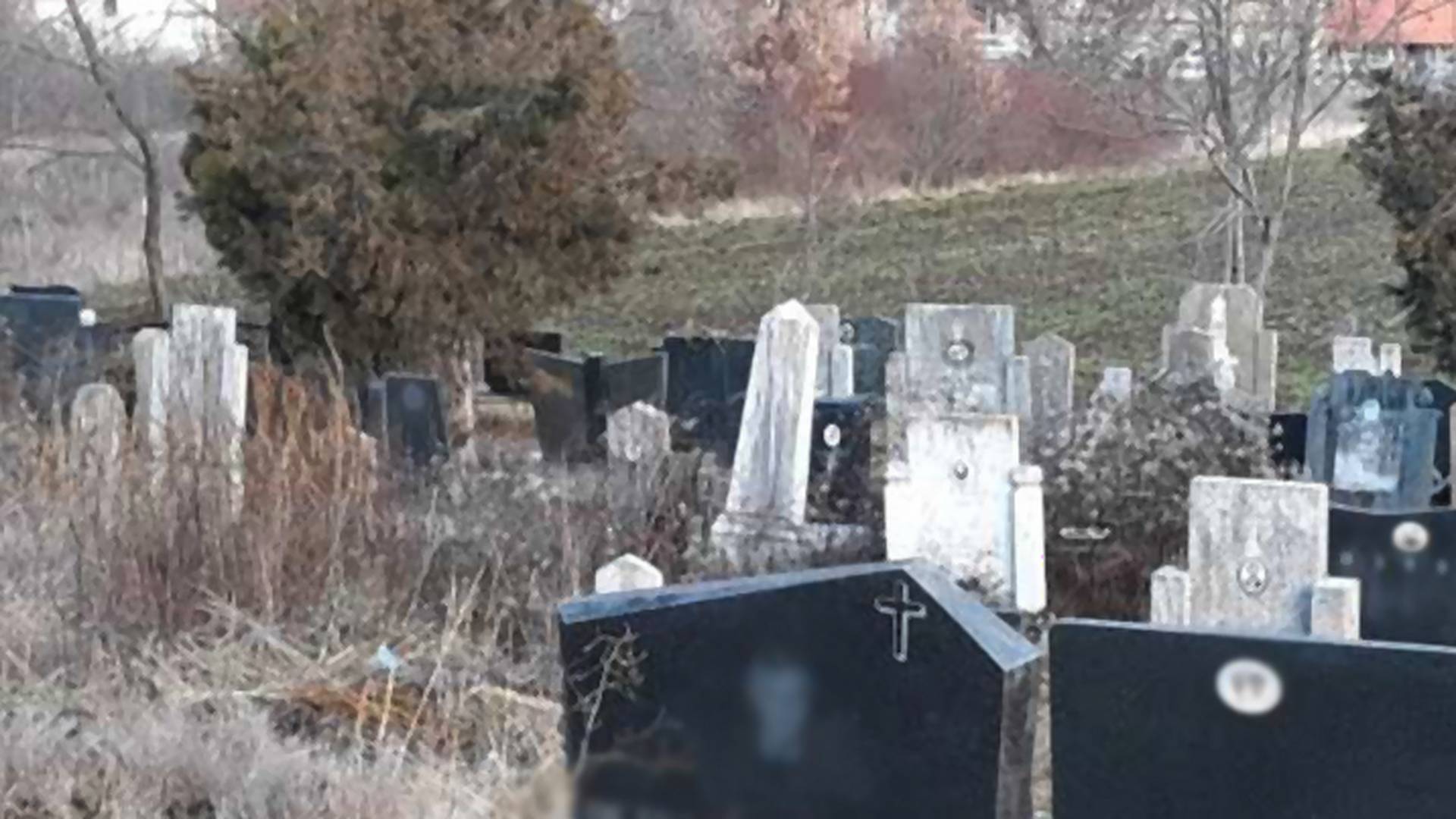 Car iz Srbije izneo na groblje bukvalno sve što je imao u kući od hrane i internet ne može da dođe do vazduha od smeha