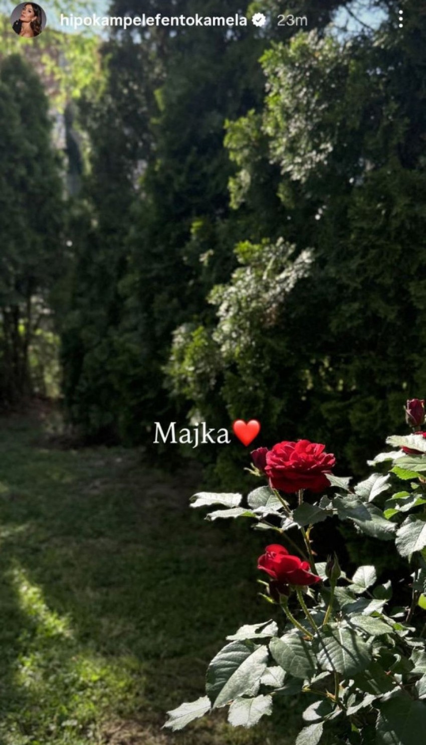 Dom majke Dragane Mićalović