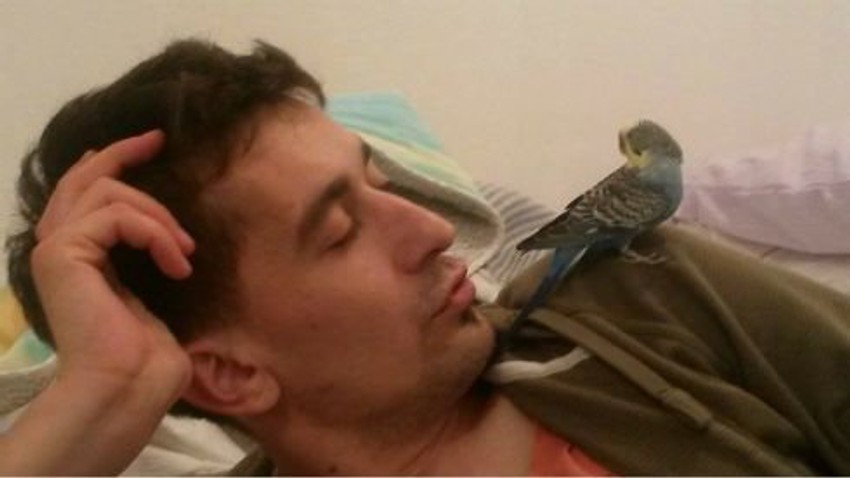 Poneo i kavez: Jovan Saković