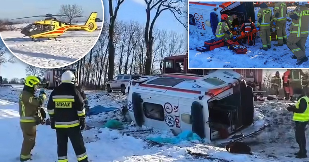 Dramat w Wielkopolsce. Karetka uderzyła w drzewo. Nie żyje kierowca
