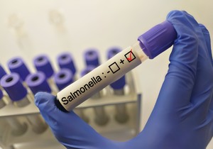 Modifikovana salmonela ya borbu protiv raka debelog creva 