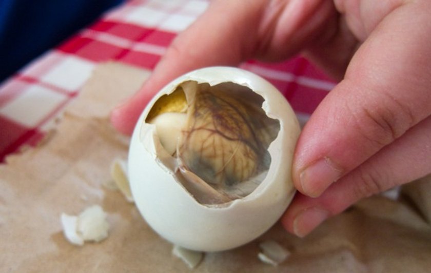 Balut