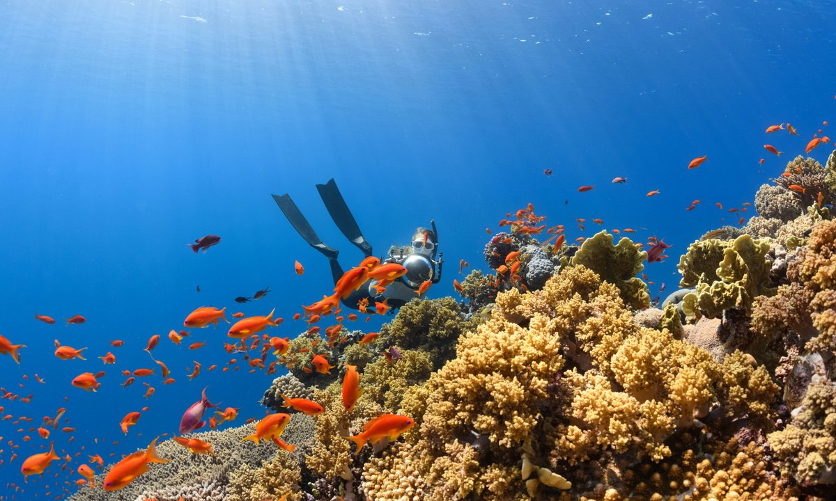 Ziemia przekroczyła pierwszy punkt krytyczny klimatu. Rafy koralowe nie do uratowania