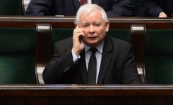 Jak spotkanie z prezesem PiS wpłynie na żubra? Idea repolonizacji została skompromitowana [OPINIA]