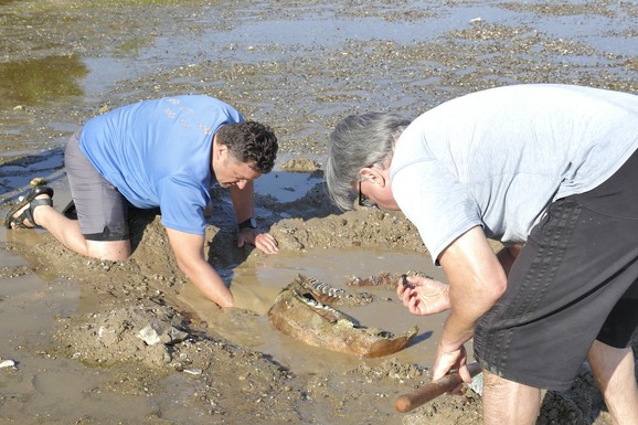 MEŠTANI U MULJU POVUČENOG DUNAVA PRONAŠLI ŠOKANTNU STVAR Odmah su pozvali stručnjake (FOTO)
