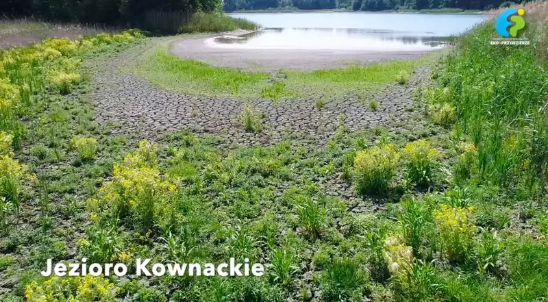 Jezioro Kownackie / fot. screenshot Eko-Przyjezierze