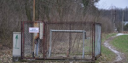 Ludzkie płody znalezione w przepompowni ścieków. Czy byli to chłopcy? FILM