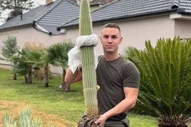 Milan ima NAJLEPŠE DVORIŠTE u Bečeju - zapravo, to je prava TROPSKA OAZA: Od hobija je napravio ozbiljan biznis, a njegov VELIKI KAKTUS želi cela Srbija