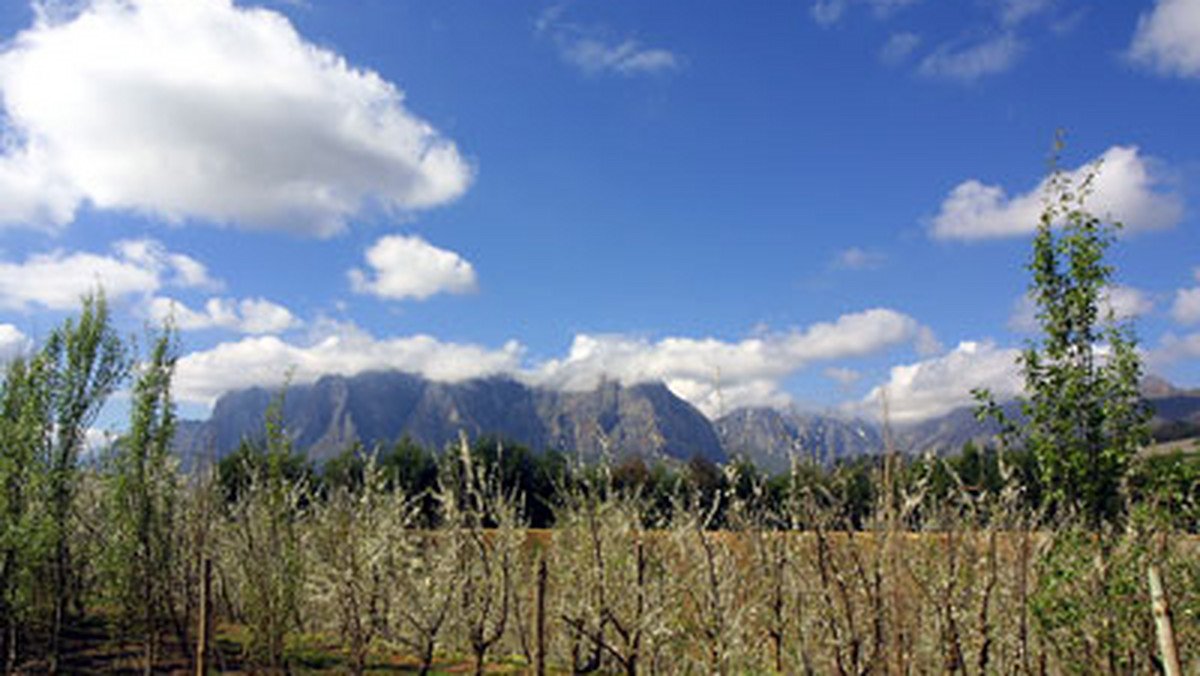 Zalicza się je do win z Nowego Świata. Ale winnice w Prowincji Przylądkowej w RPA istnieją już od 350 lat. Wyruszamy do okręgu Stellenbosch, gdzie narodziło się południowoafrykańskie winiarstwo.