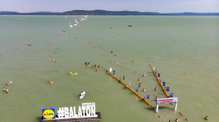 Augusztus 1-én startol el a Balaton-átúszás /Fotó:MTI/Varga György