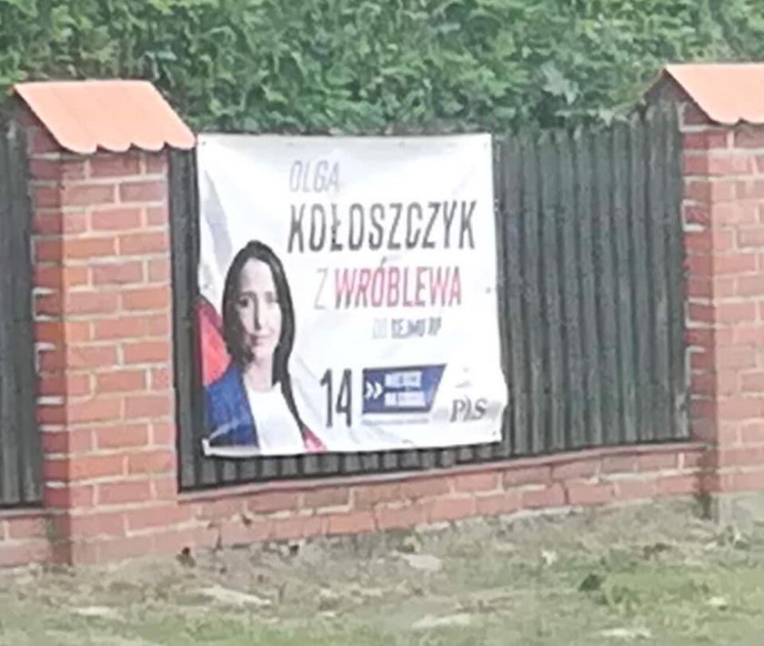 Billboardy Olgi Kołoszczyk