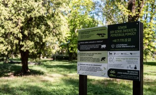 Nie wywołuj wilka z lasu. Druga edycja kampanii „Dzikie w mieście