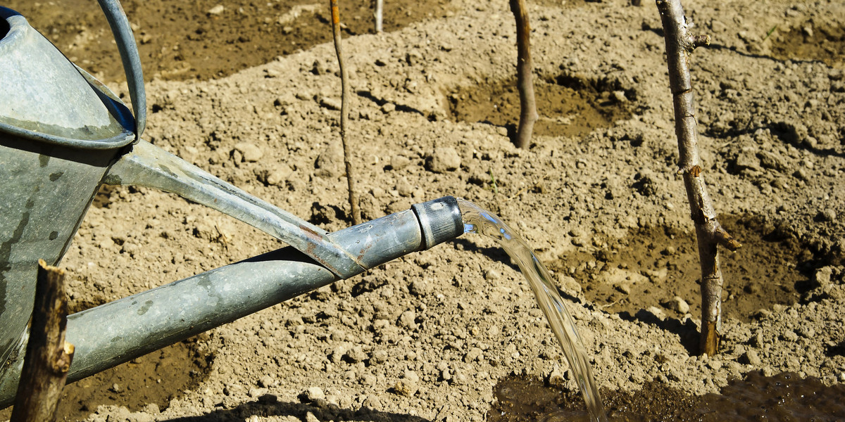 Podlewanie ogródków wodą z sieci było jedną z przyczyn kilkuset ograniczeń w korzystaniu z wody ogłaszanych przez samorządy w 2019 r.