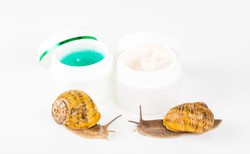 Obrzydliwości w kosmetykach - składniki, które mogą upiększać