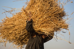 Ambasador Ukrainy: Turcja kupuje zboże skradzione Ukrainie przez Rosję