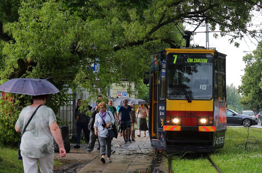 Drzewo spadło na tramwaj