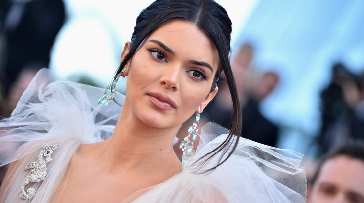 Kendall Jenner /Fotó: Northfoto