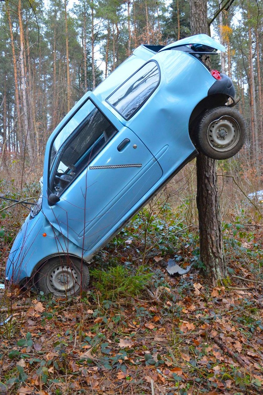 Lubelskie: Fiat zawisł na drzewie w Hutkach. Za kierownicą 86-latka