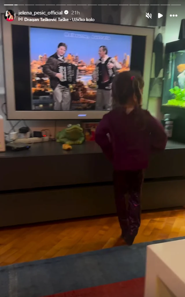 Preko celog zida dnevne sobe dva gigantska akvarijuma i ogroman televizor: Zavirite u dom Jelene Pešić i Mladena Vuletića!