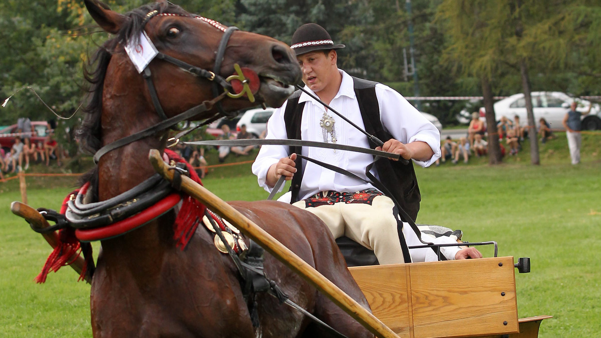Wyścigi góralskich zaprzęgów konnych podziwiali w piątek w Zakopanem turyści podczas widowiskowych Mistrzostw Podhala w Powożeniu. Impreza poprzedziła rozpoczynający się w niedzielę 44. Międzynarodowy Festiwal Folkloru Ziem Górskich.