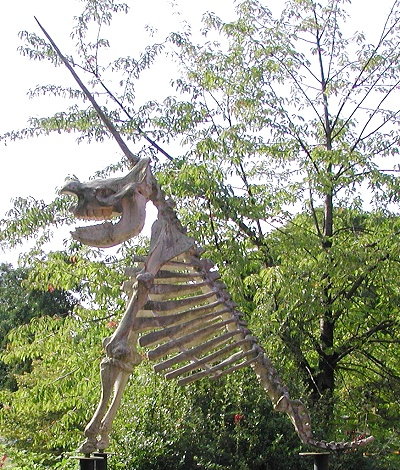 Rekonstrukcja „jednorożca Guericke’a”, wystawiona obok ogrodu zoologicznego w Osnabrück w Niemczech. Fot. Wilfried Wittkowsky / Wikimedia (CC BY-SA 3.0)