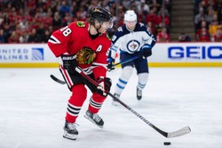 Liga NHL. Derek King odmienił Chicago Blackhawks