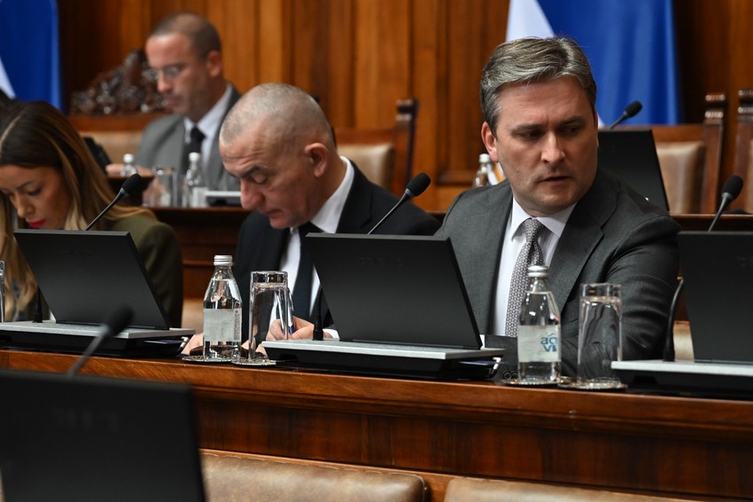 Nikola Selaković, ministar kulture