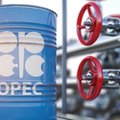 Ceny ropy. ZEA potwierdzają zobowiązania wobec OPEC+. "Rosja ważnym członkiem"